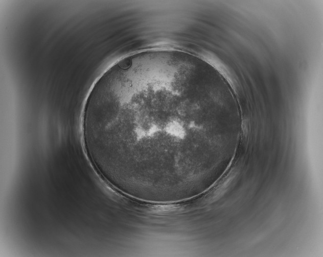 X0000094071482200710191110