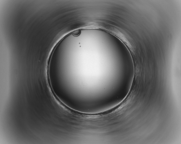 X0000094071484200710191110
