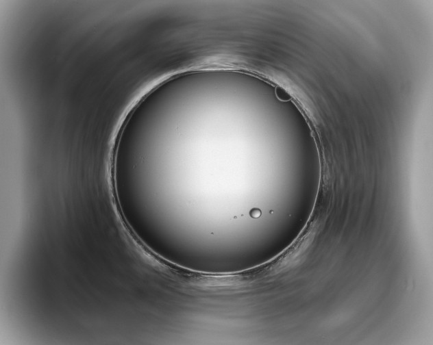 X0000094071486200710191110