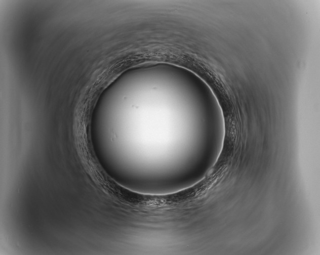 X0000094071489200710191110