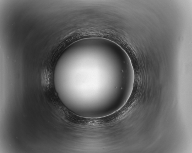 X0000094071490200710191110