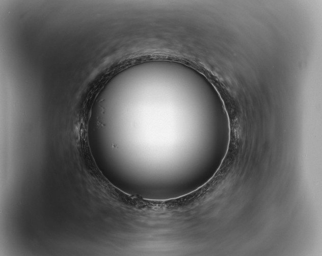 X0000094071495200710191110