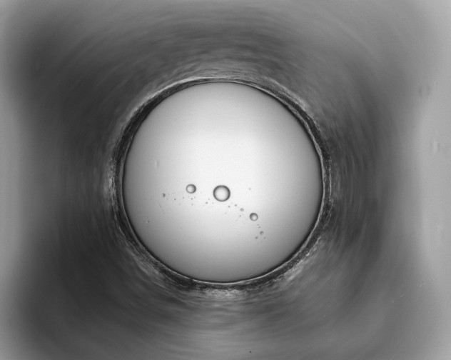 X0000094071498200710191110