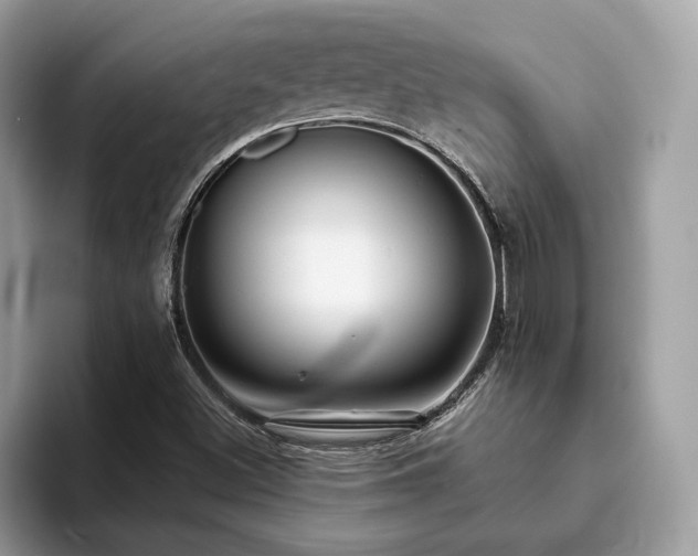X0000094071500200710191110
