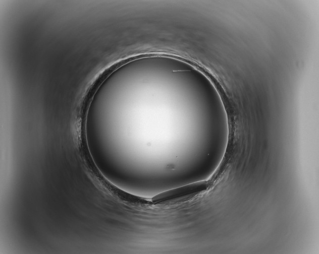 X0000094071503200710191110