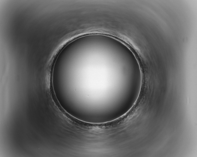 X0000094071504200710191110