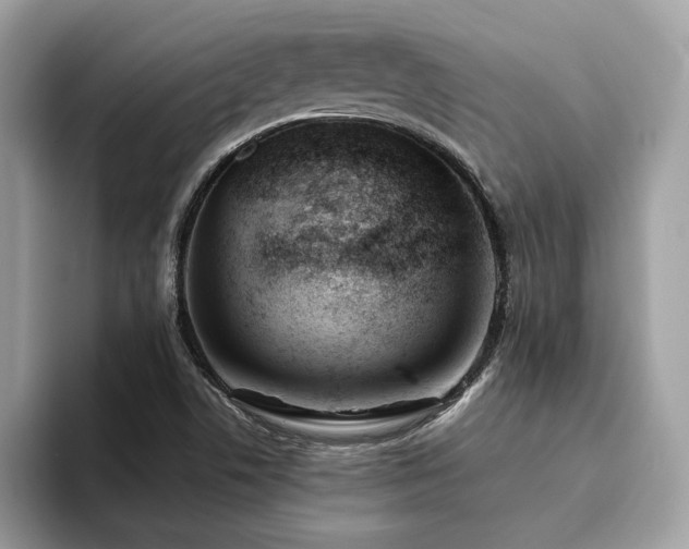 X0000094071506200710191110