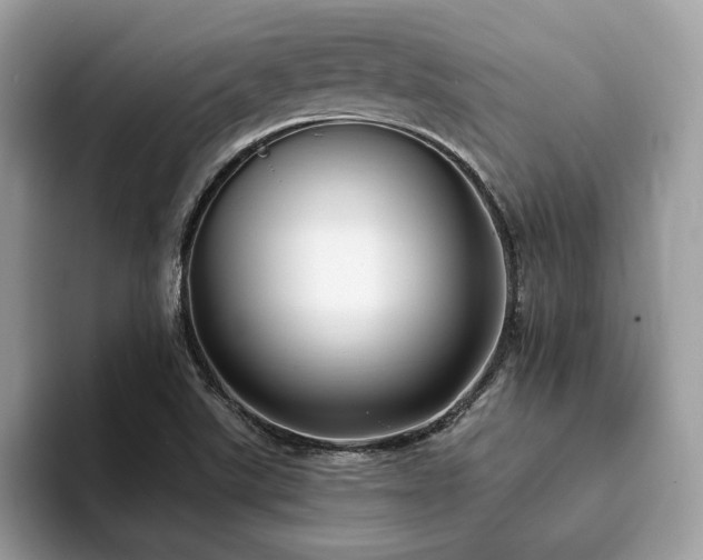 X0000094071507200710191110