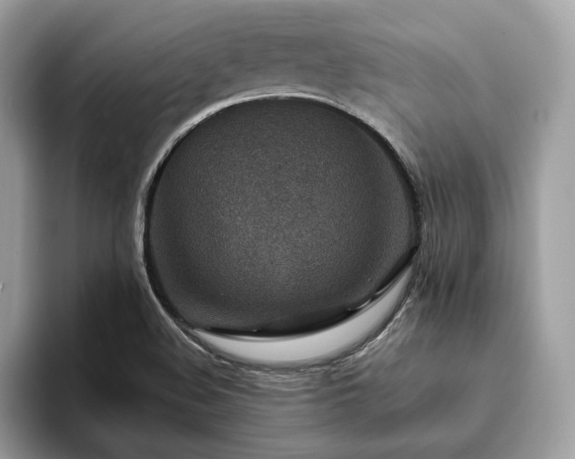 X0000094071508200710191110