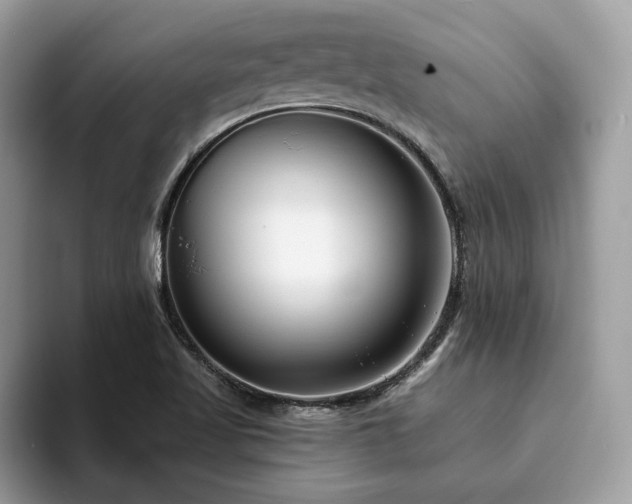 X0000094071509200710191110