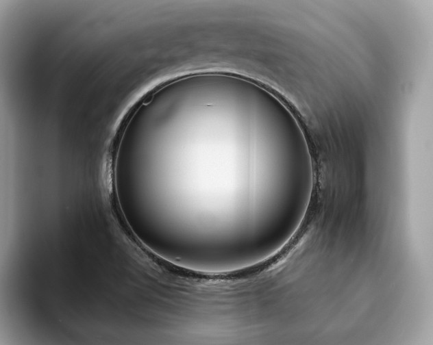 X0000094071510200710191110