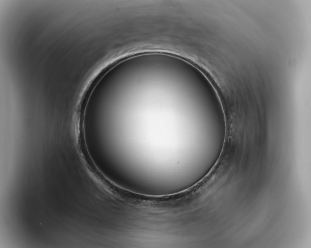 X0000094071511200710191110