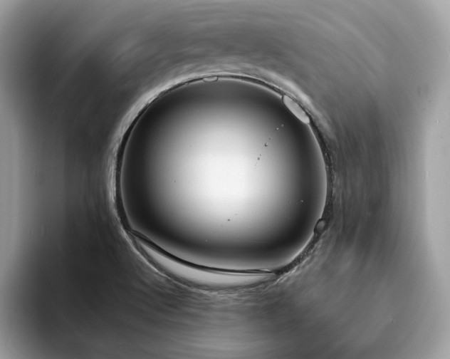 X0000094071512200710191110