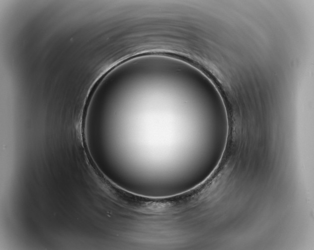 X0000094071513200710191110