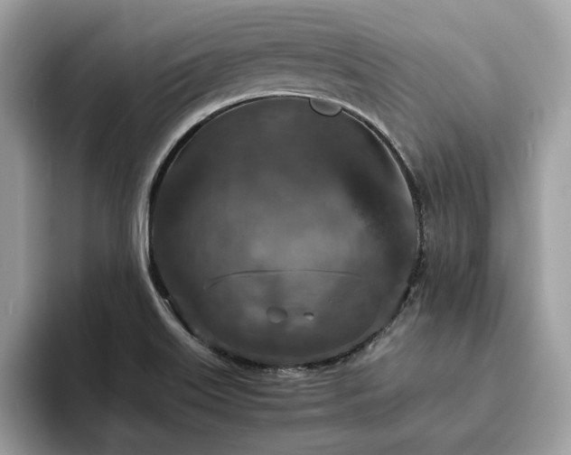 X0000094071515200710191110