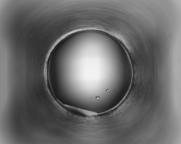 X0000094071516200710191110