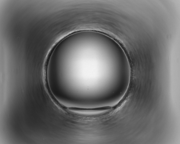 X0000094071517200710191110