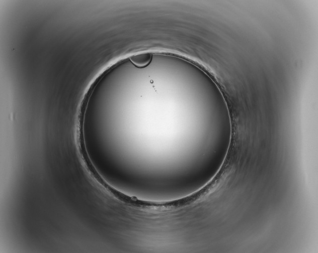 X0000094071518200710191110