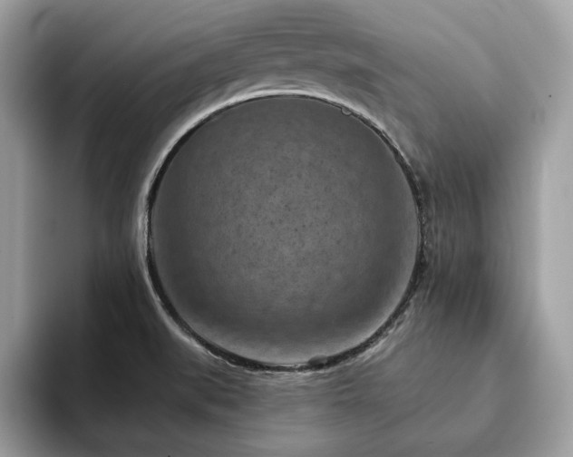 X0000094071519200710191110