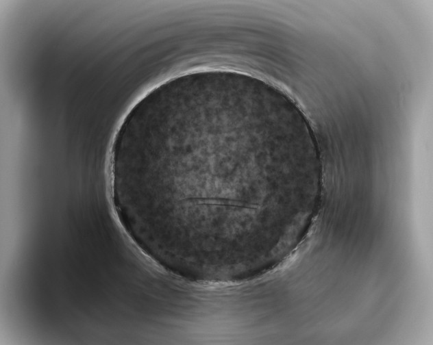 X0000094071522200710191110