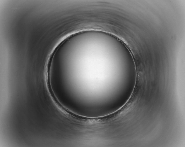 X0000094071523200710191110