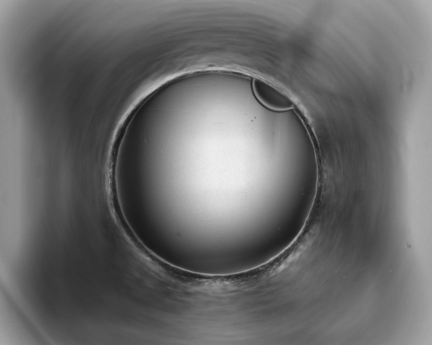 X0000094071525200710191110