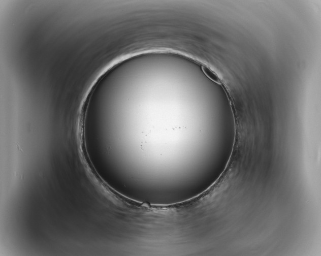 X0000094071526200710191110