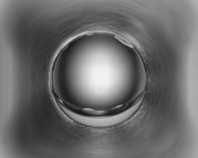 X0000094071528200710191110