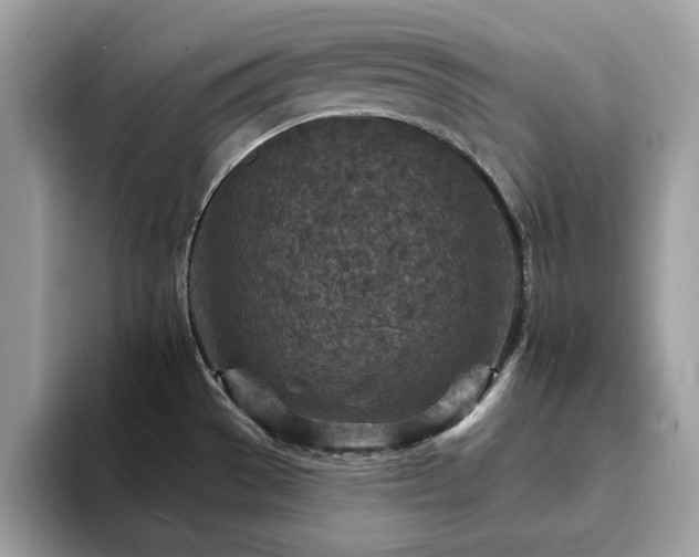 X0000094071529200710191110