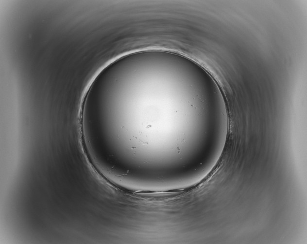 X0000094071532200710191110