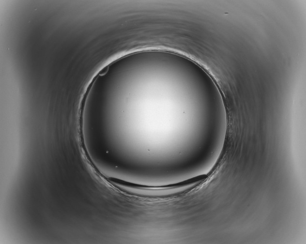 X0000094071534200710191110