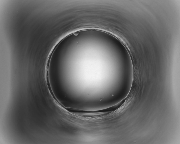 X0000094071535200710191110