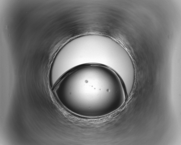 X0000094070001200710261256