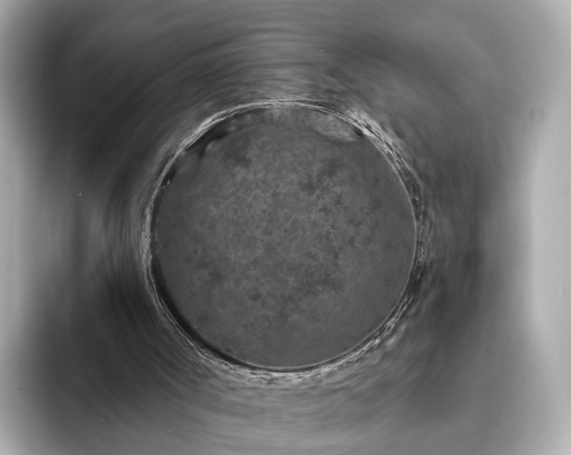 X0000094070002200710261256