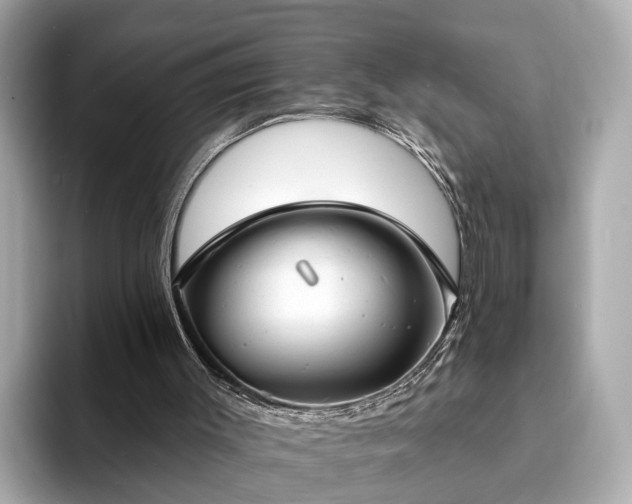 X0000094070003200710261256