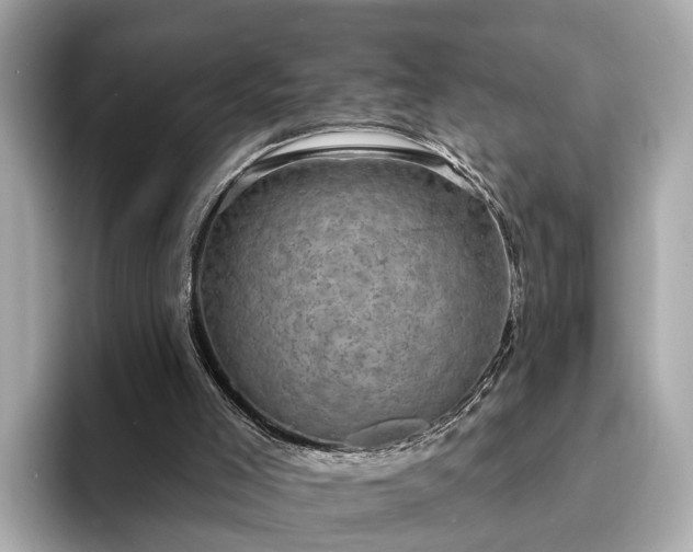X0000094070005200710261256