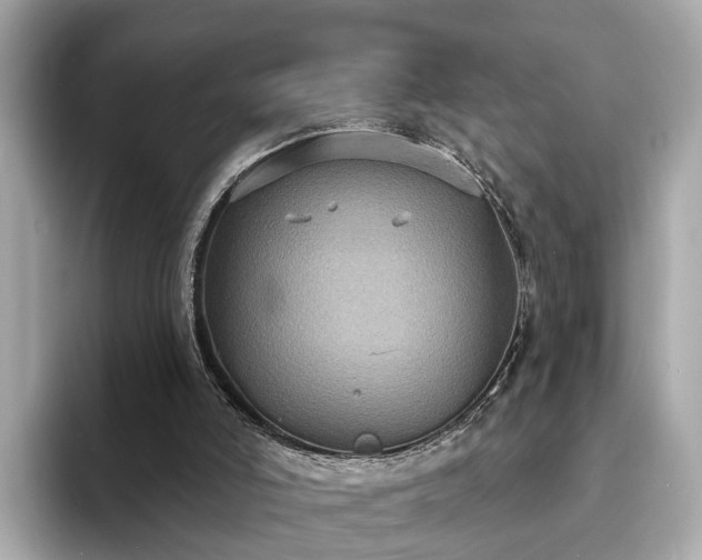 X0000094070006200710261256