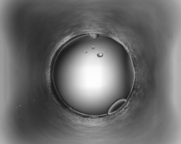 X0000094070008200710261256