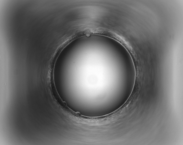 X0000094070010200710261256