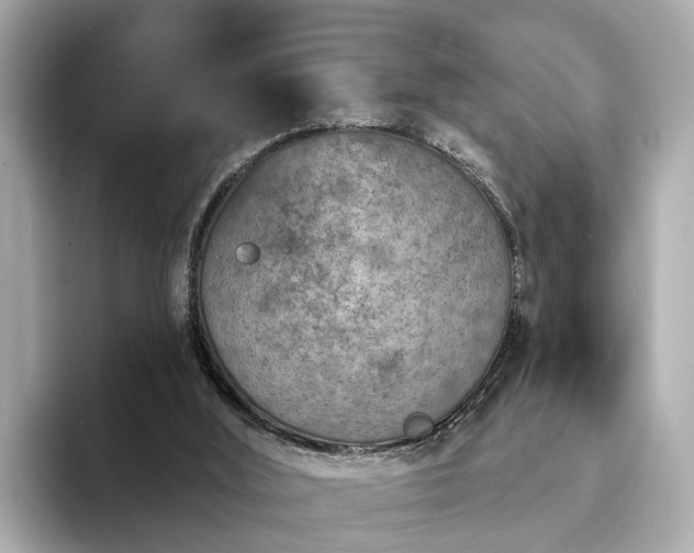 X0000094070012200710261256