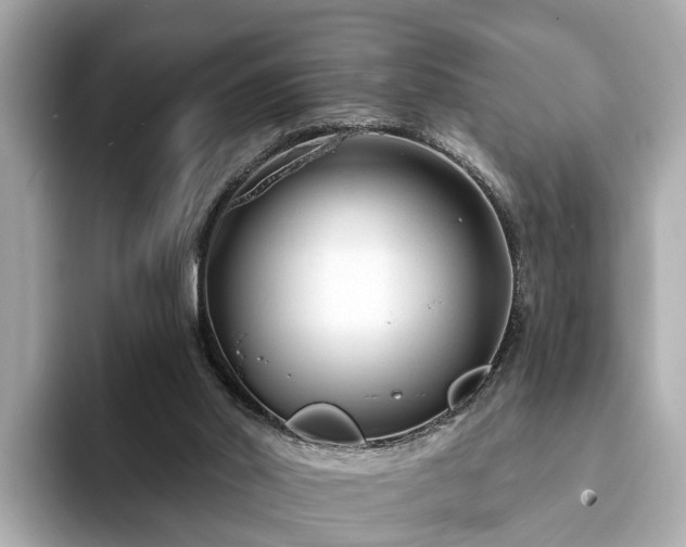 X0000094070014200710261256