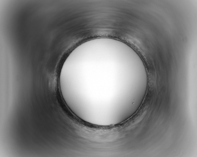 X0000094070016200710261256