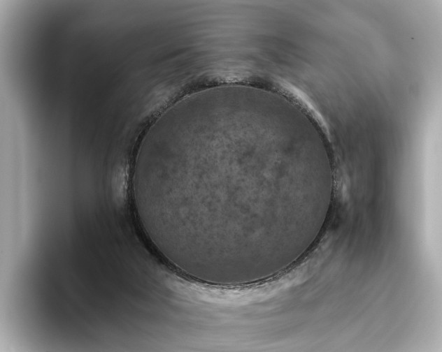 X0000094070018200710261256