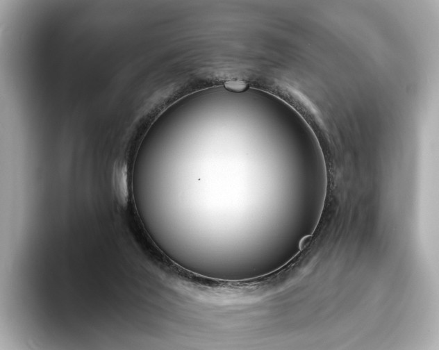 X0000094070020200710261256