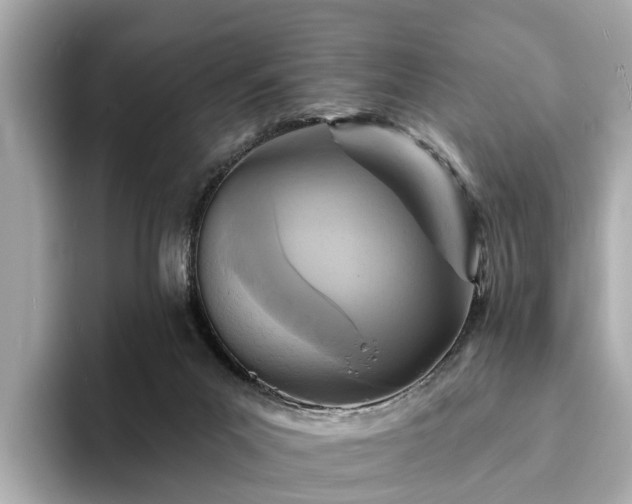 X0000094070023200710261256