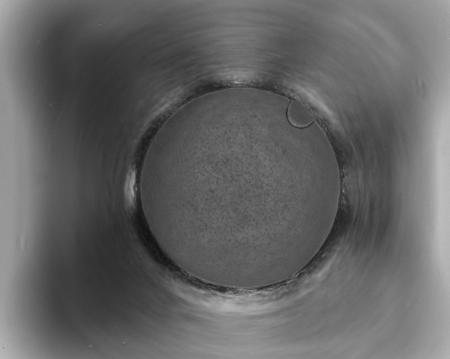 X0000094070024200710261256