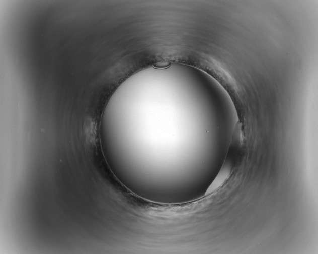 X0000094070025200710261256