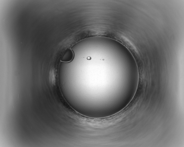 X0000094070026200710261256