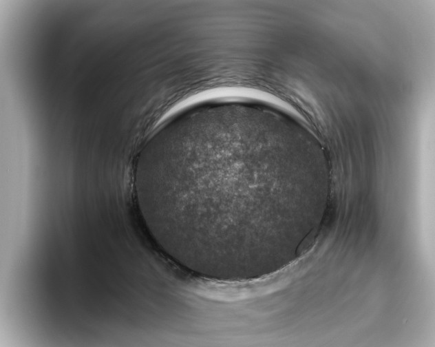 X0000094070029200710261256