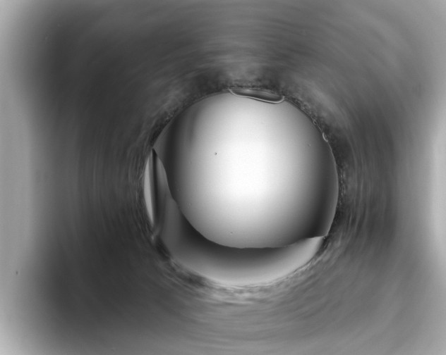 X0000094070033200710261256